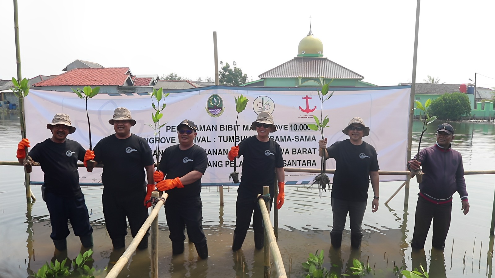 id8954_WhatsApp Image 2024-01-10 at 16.20.15.jpeg